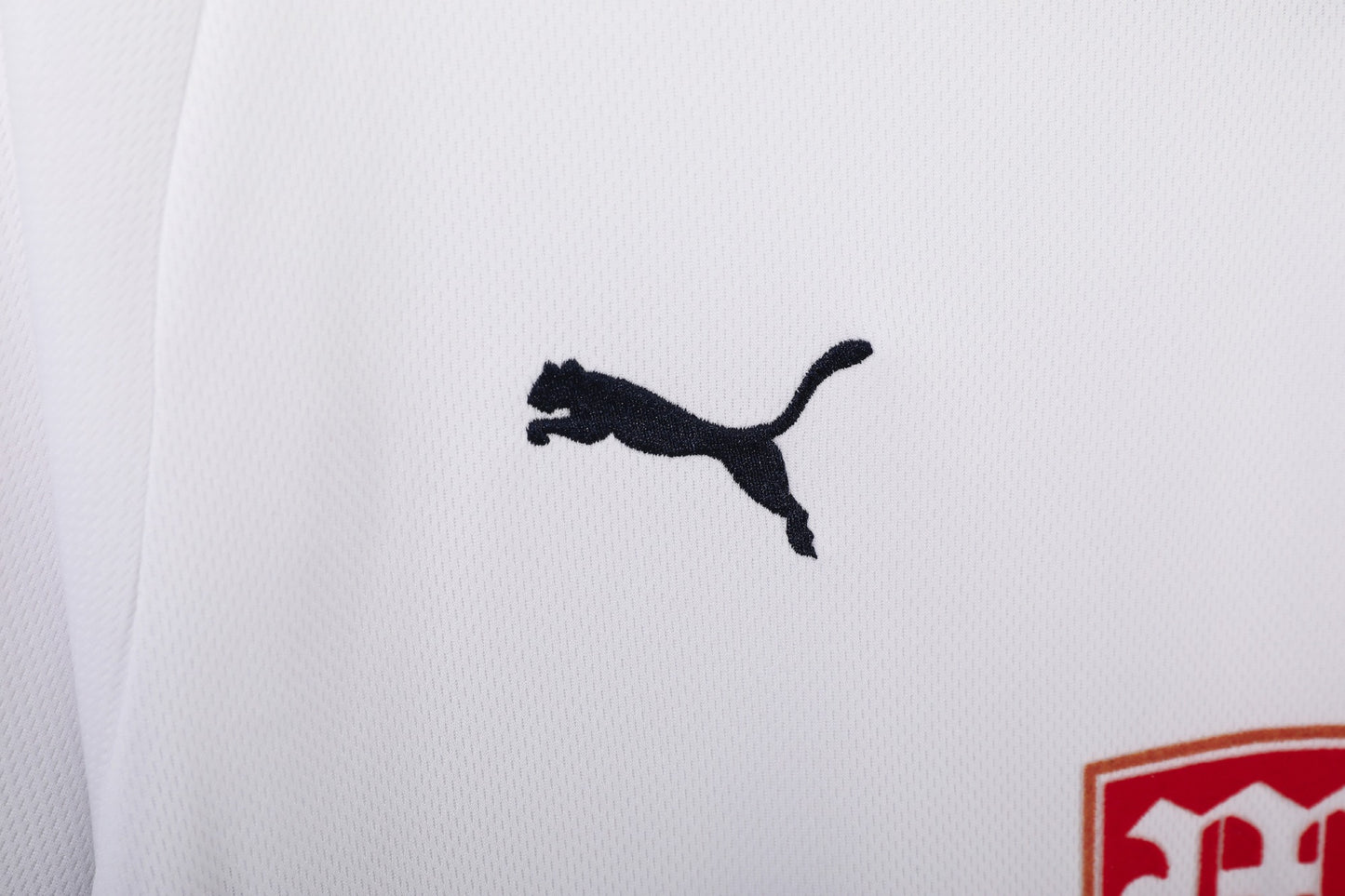 Maillot domicile Tottenham Hotspur 2008-2009